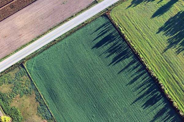 quanto costa un ettaro terreno agricolo